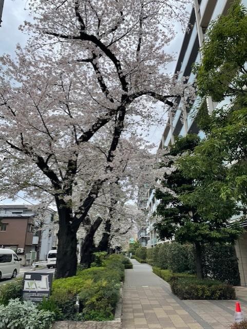 5-8ouji20250430