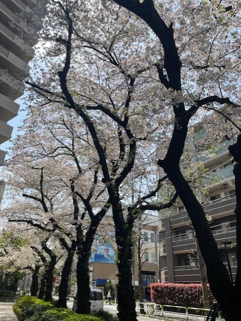 5-9ouji20250430