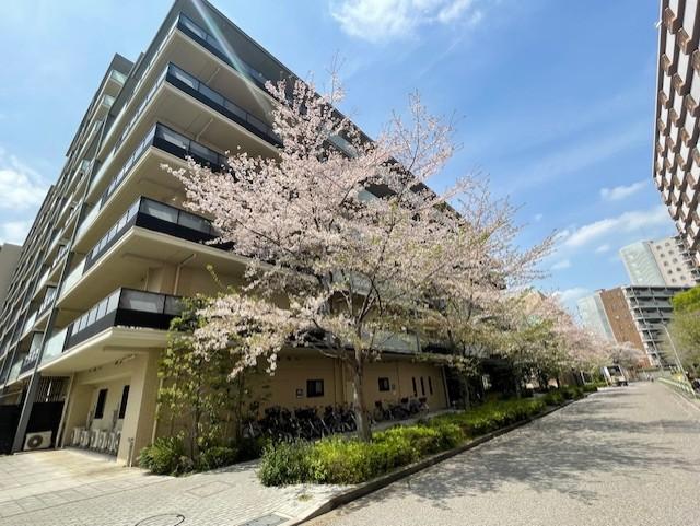 5-6ouji20250430
