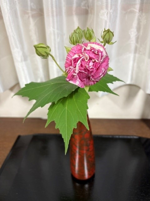 2kyoto261009
