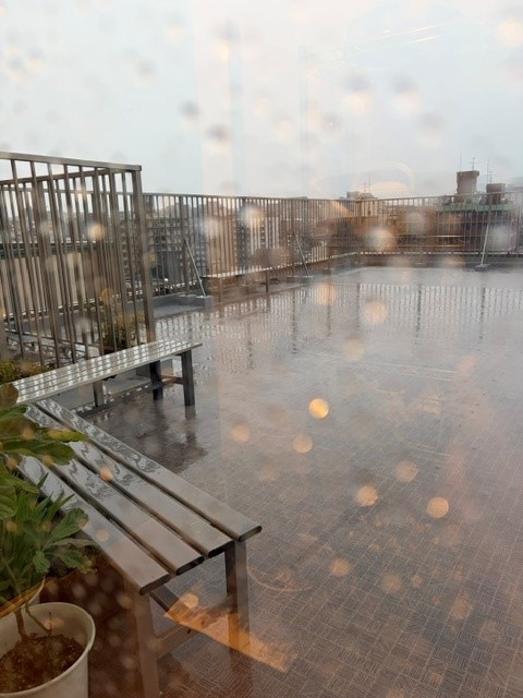 台風6号