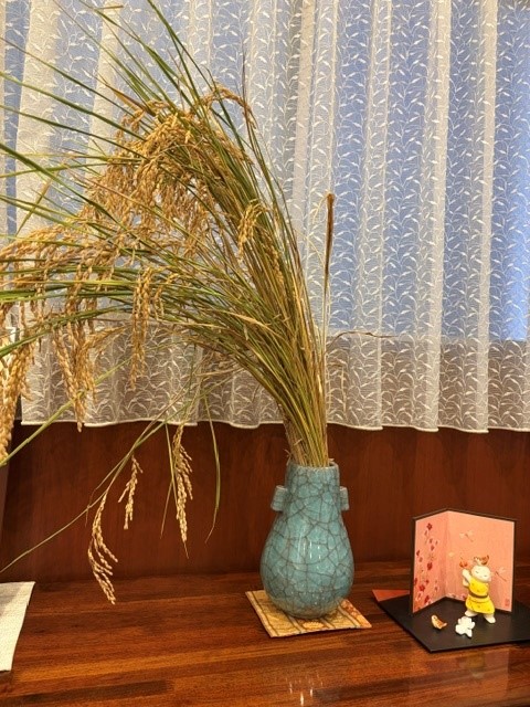 1kyoto261019