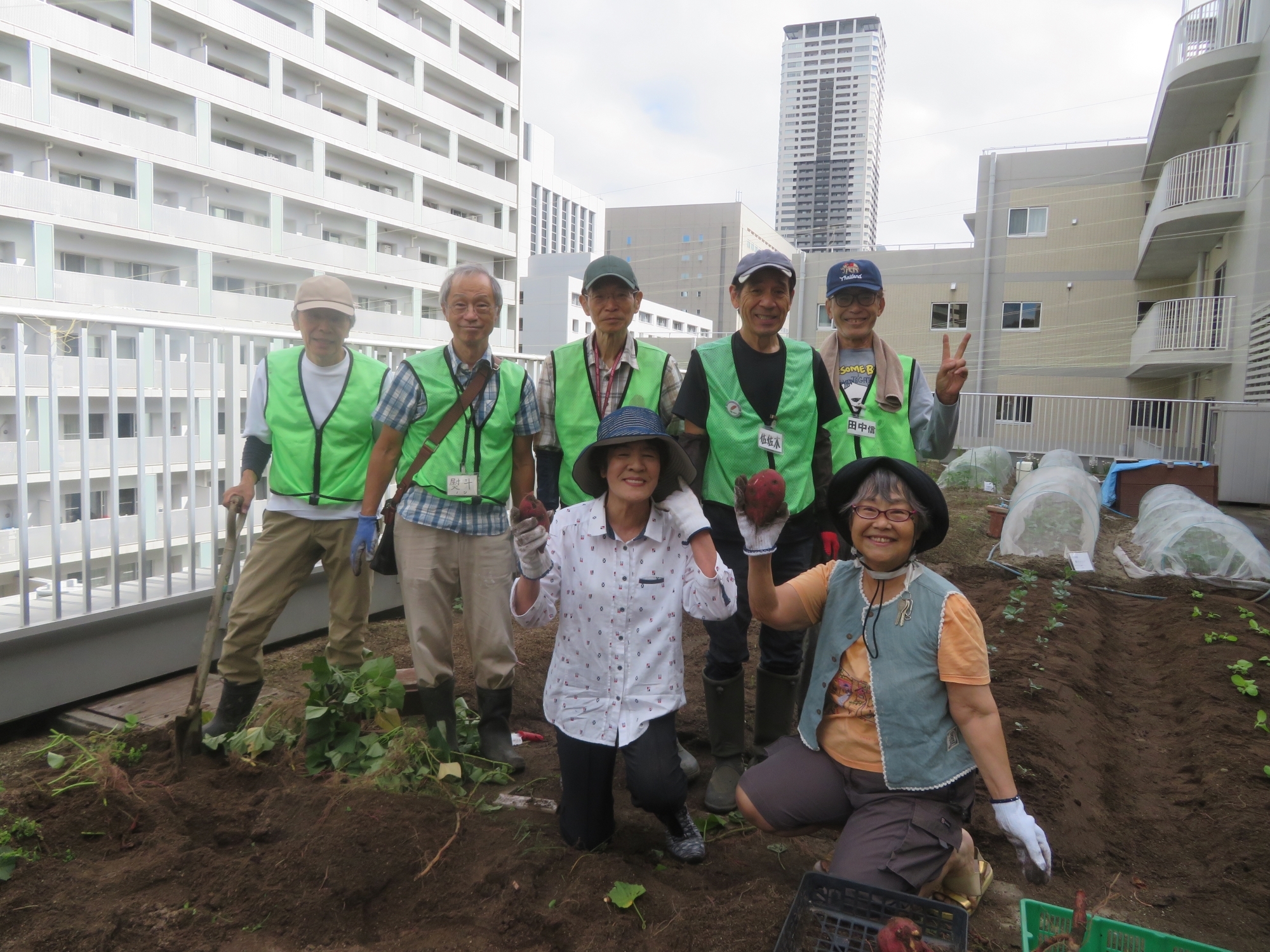 【なごみガーデン】芋掘り体験
