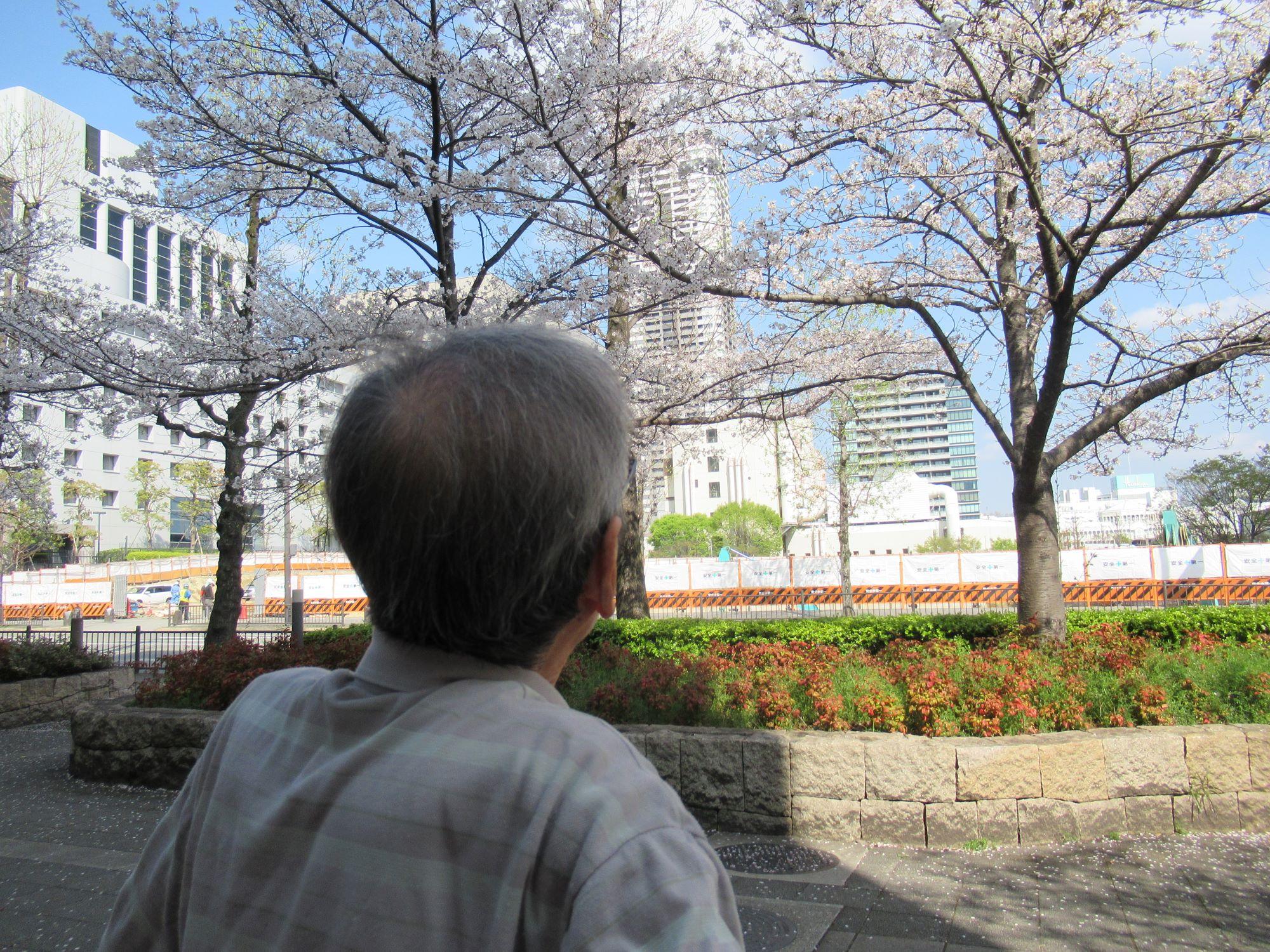 お花見をしよう！　（２階介護フロア）