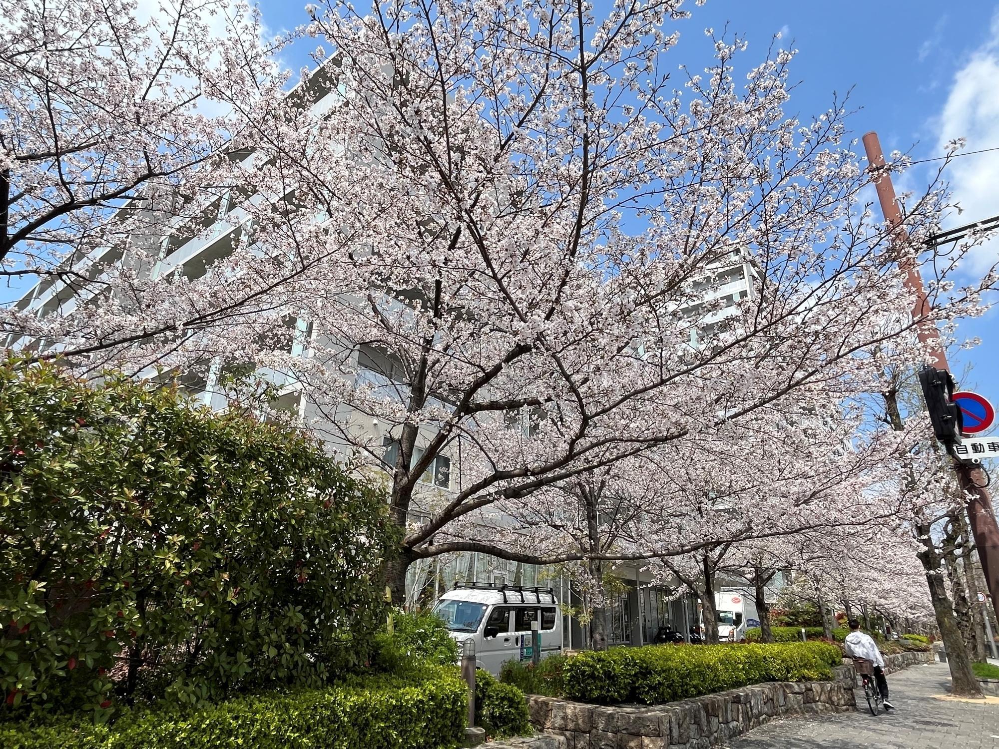 3senri260402