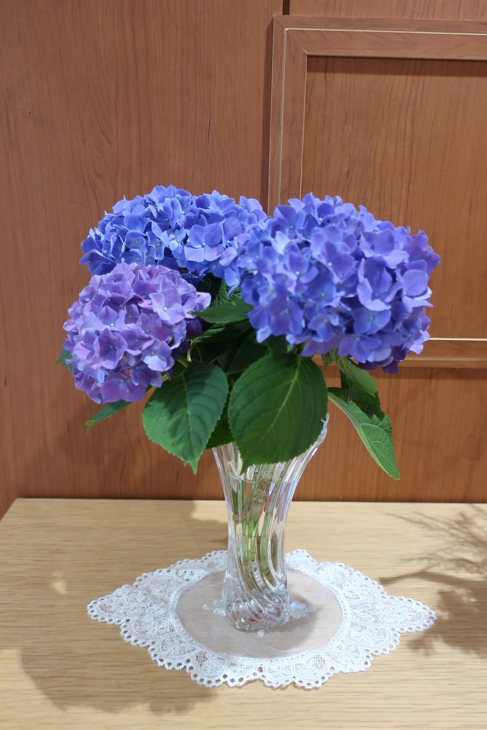 IMG_8687.JPG