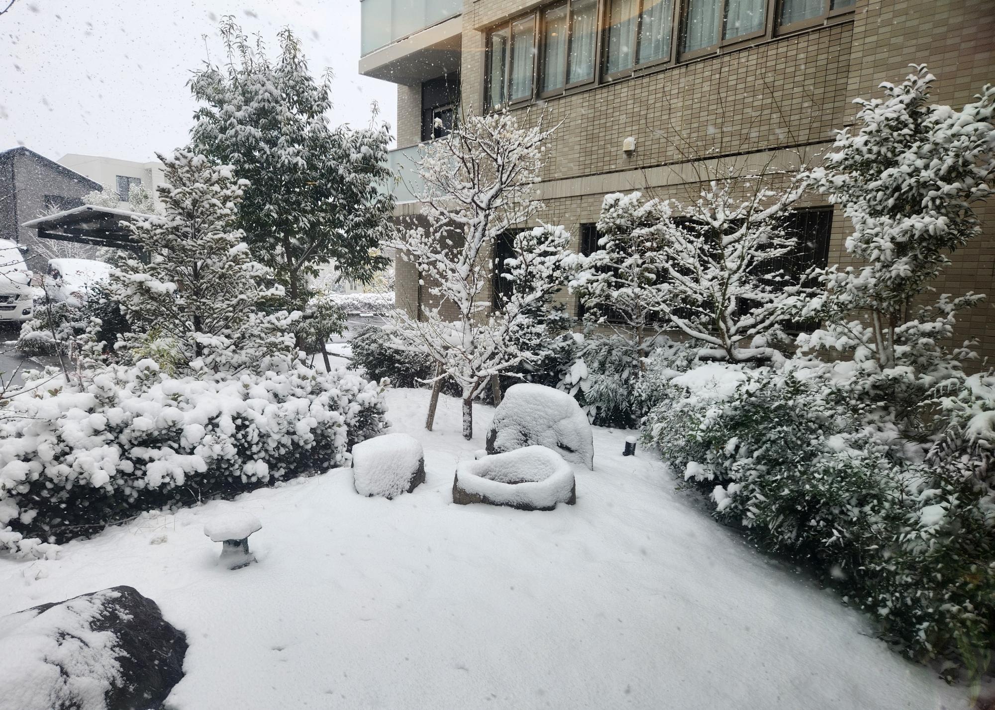 雪の日のひととき