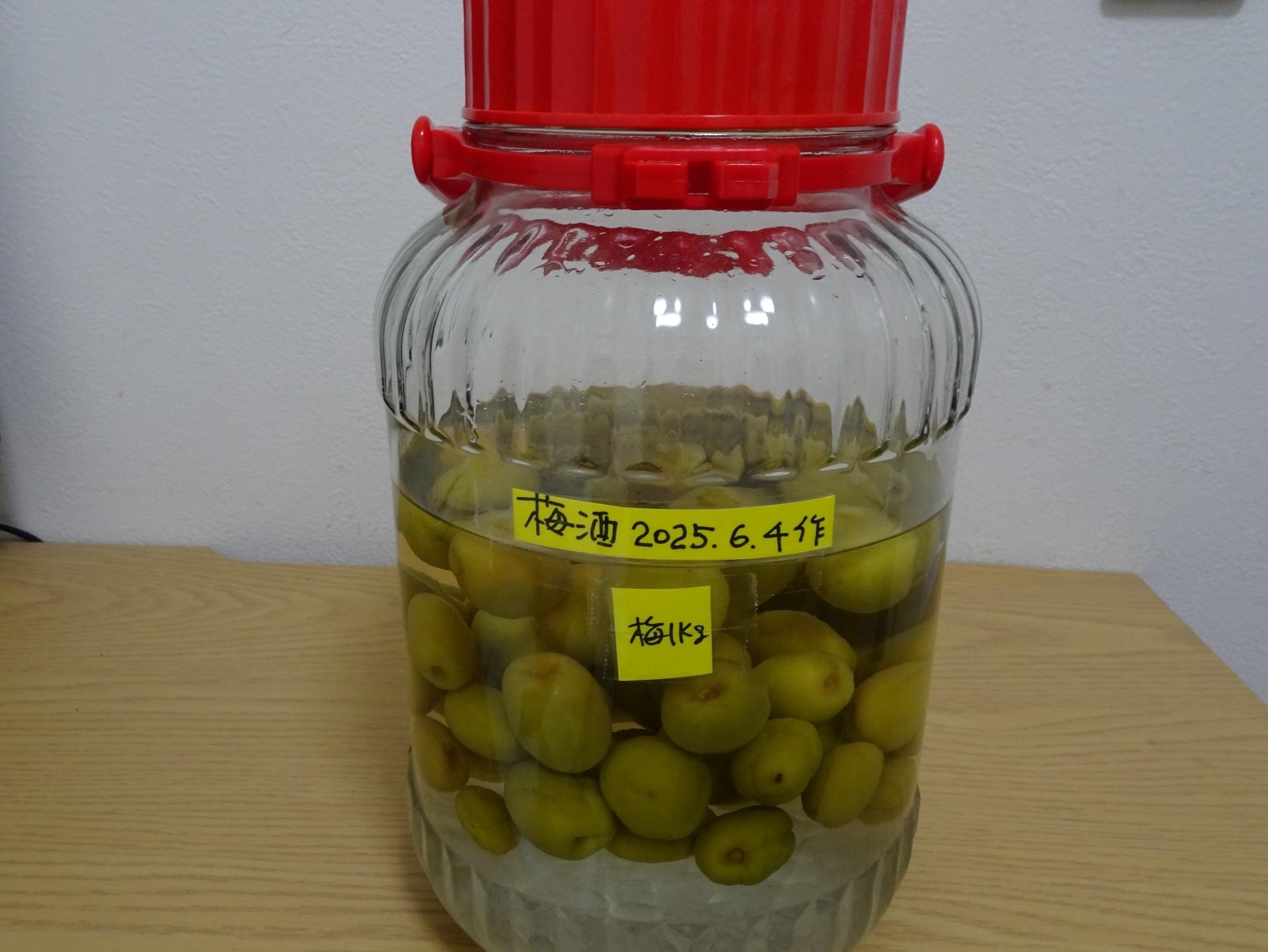 01syounan20250619.JPG