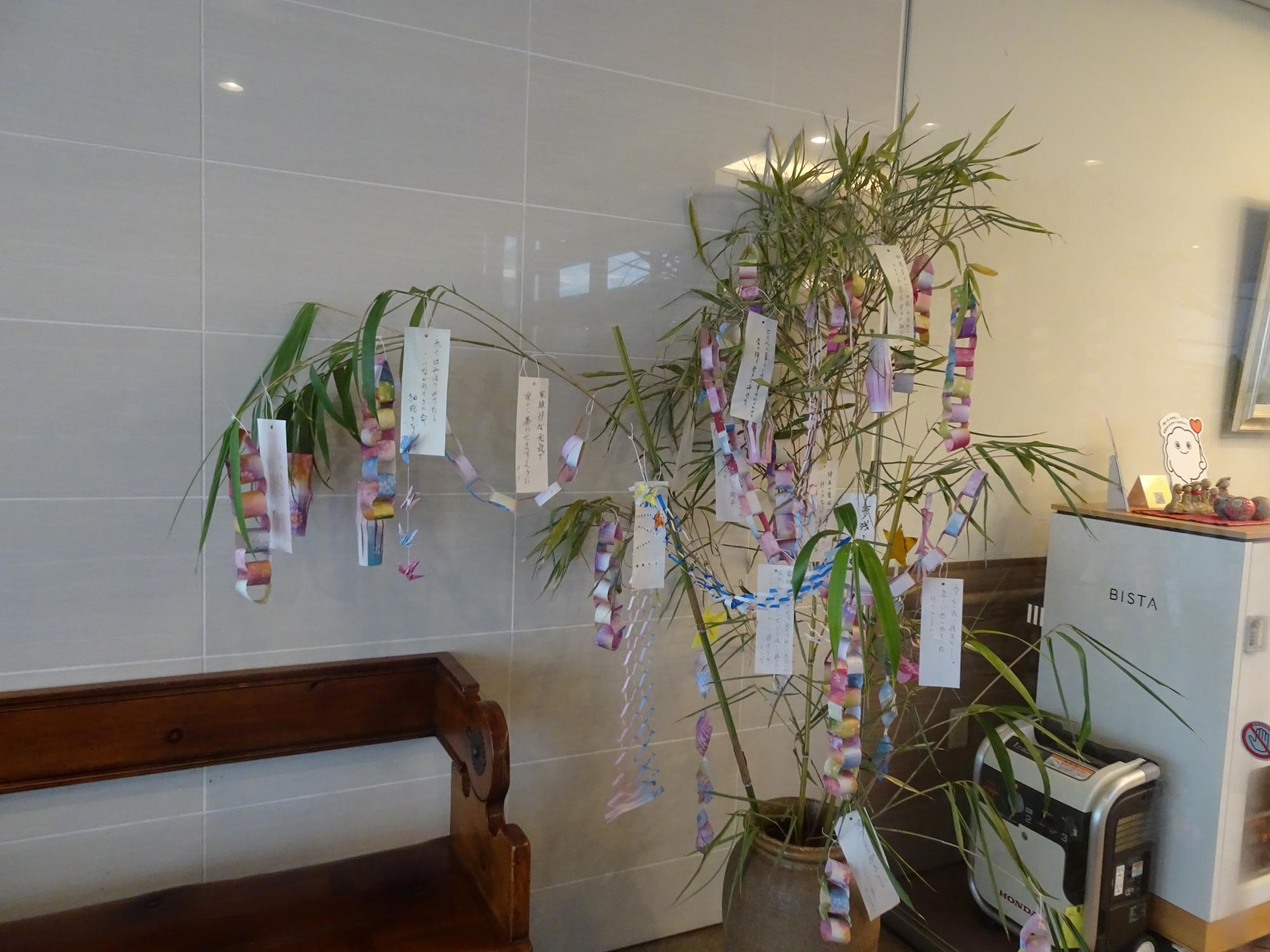 tanabata_shonan-01
