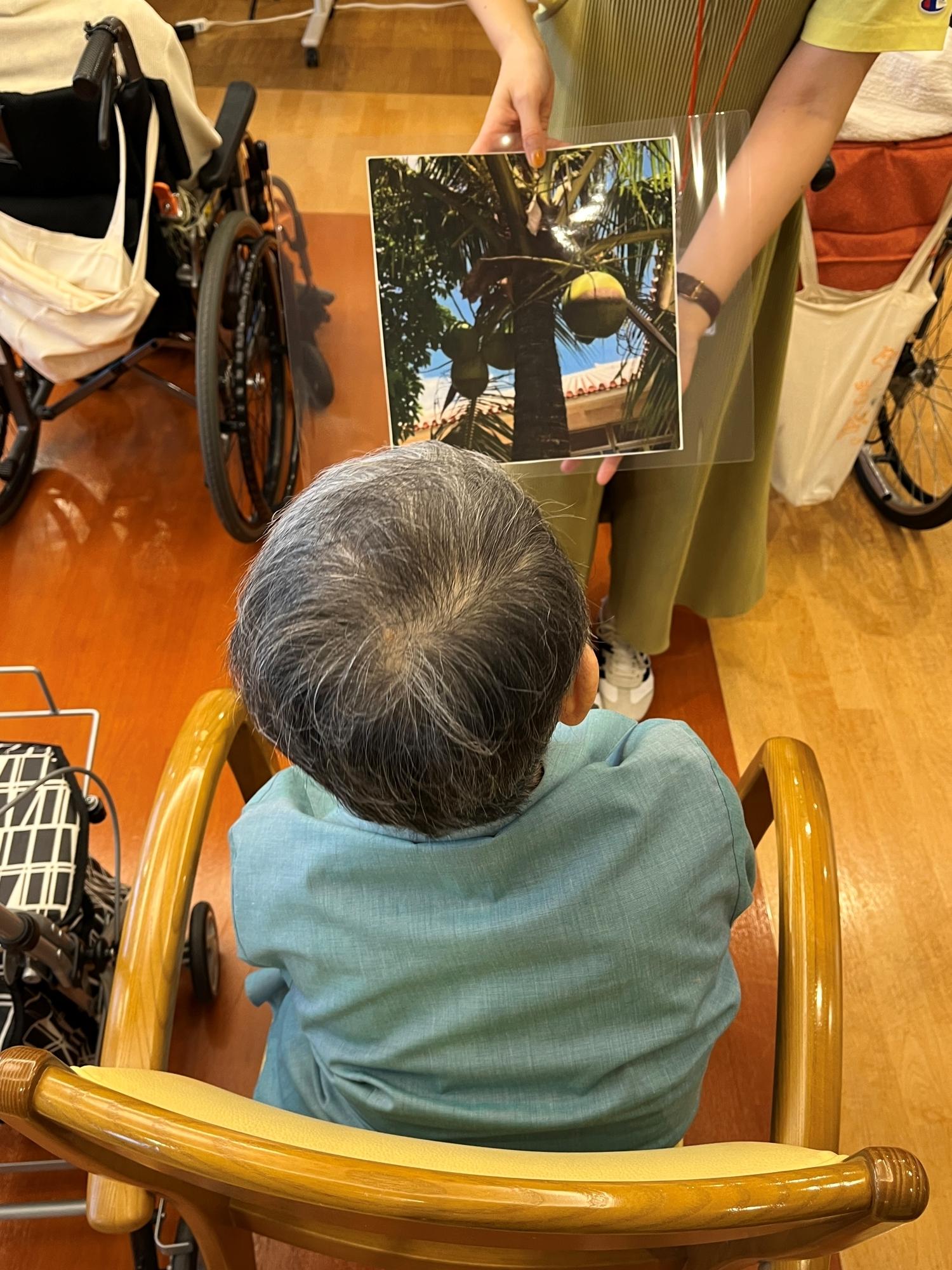 4hoshigaoka20250809
