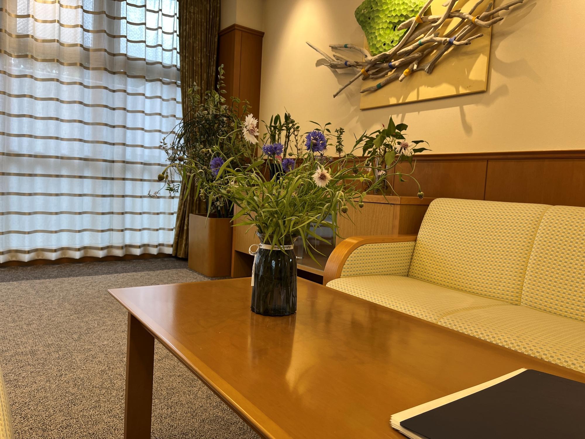 11hoshigaoka20260415