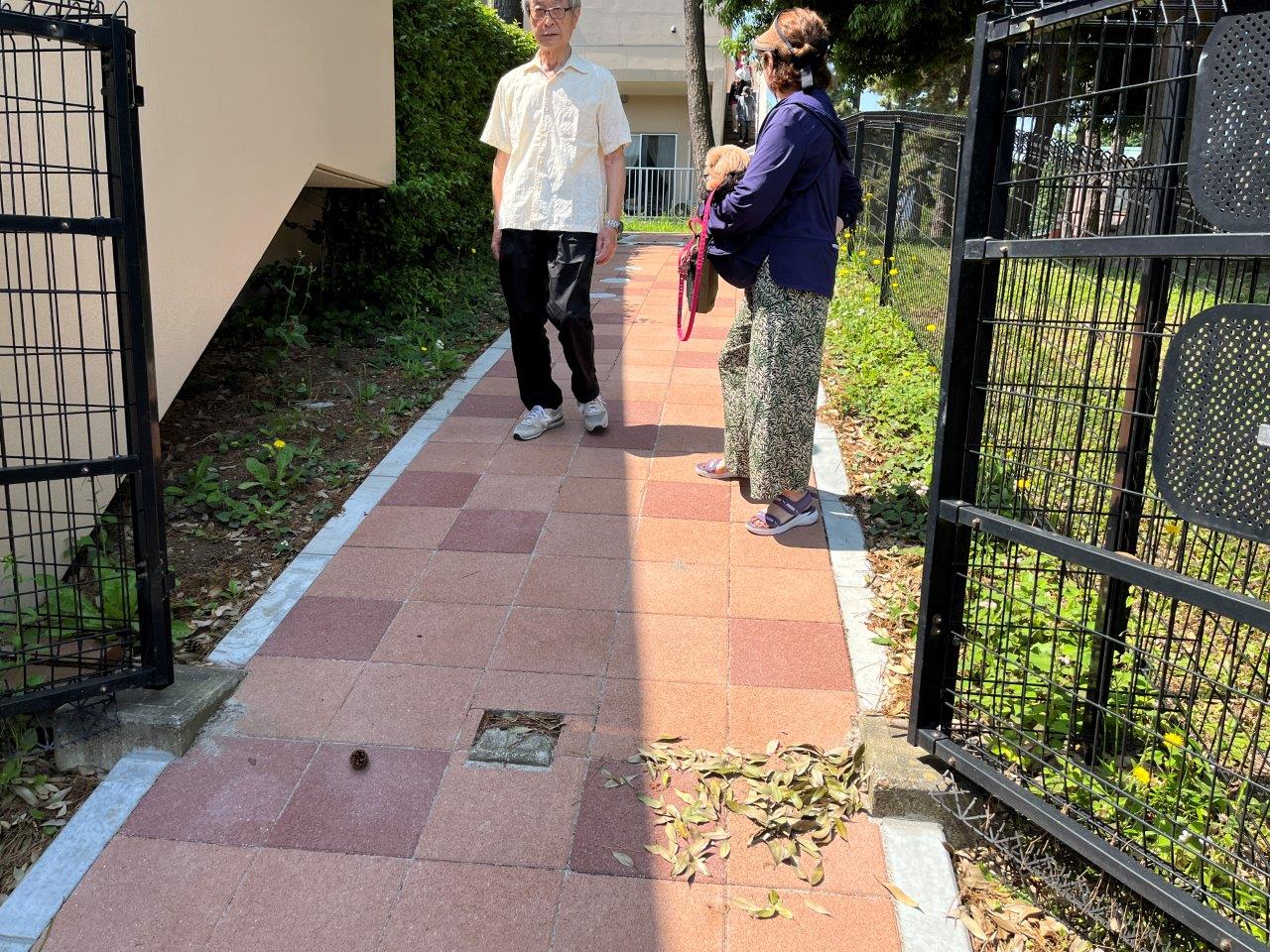 ④消防訓練