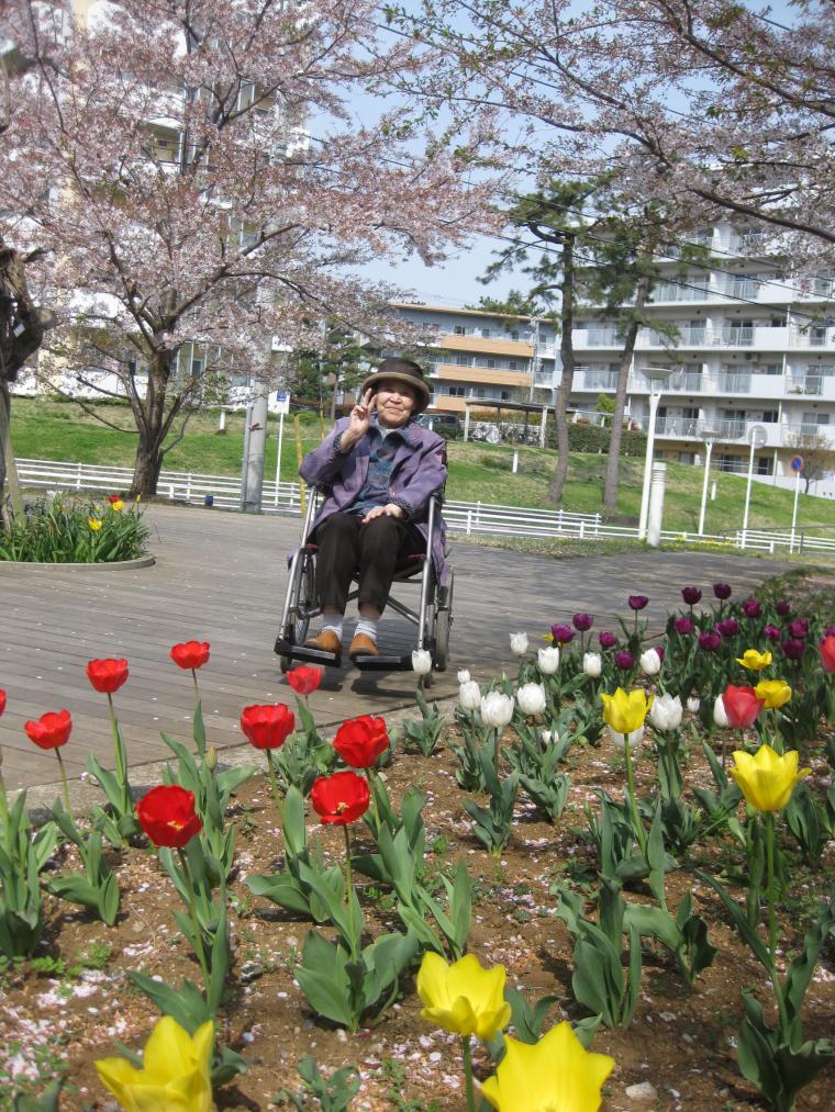 近隣の花