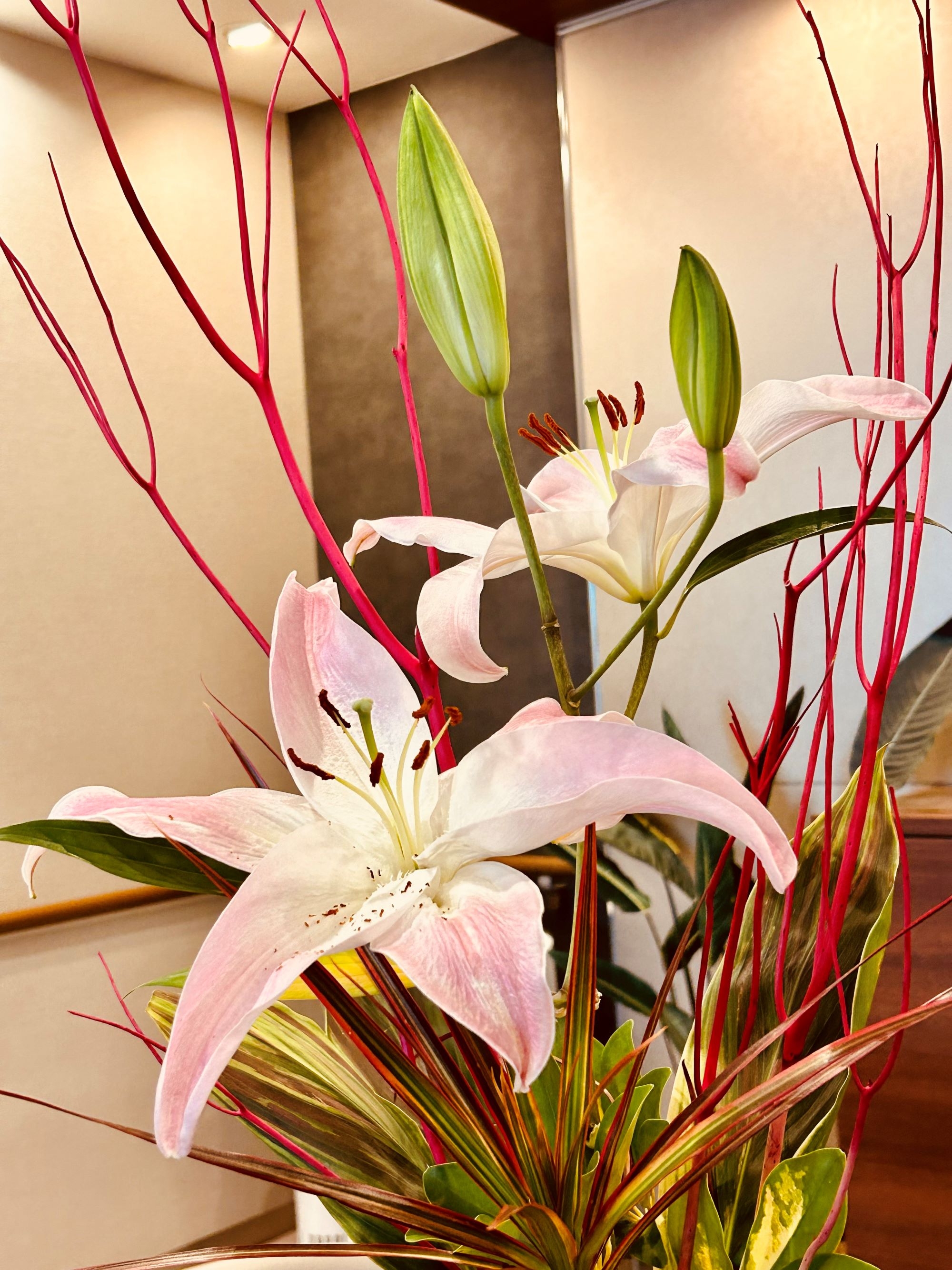 ご入居者撮影の花