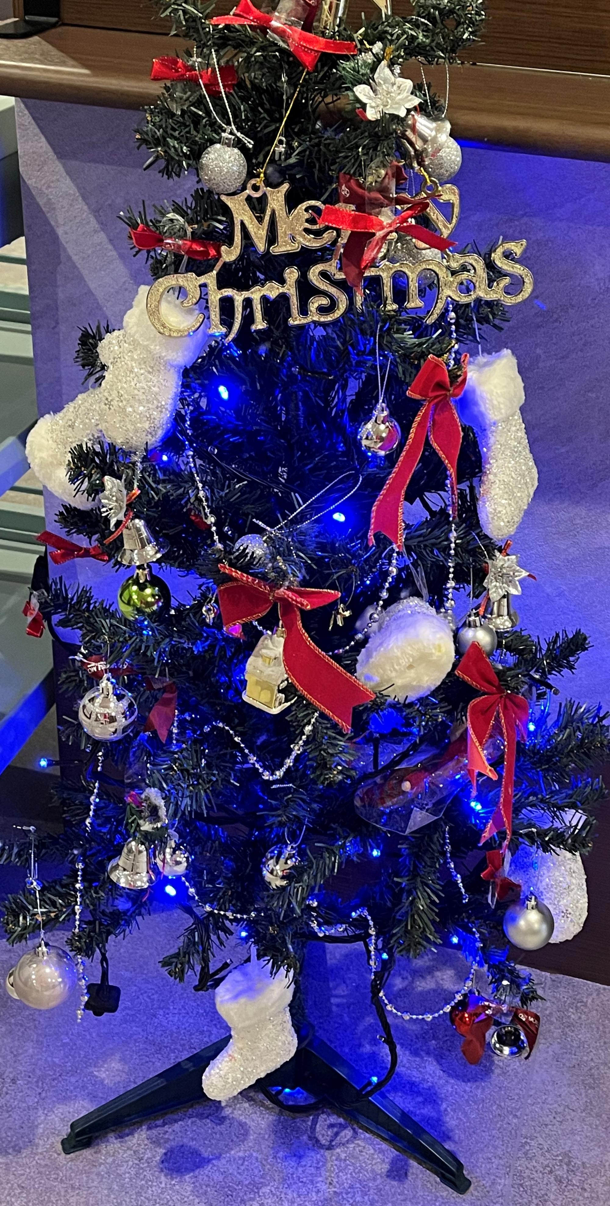 クリスマスパーティー☆*②