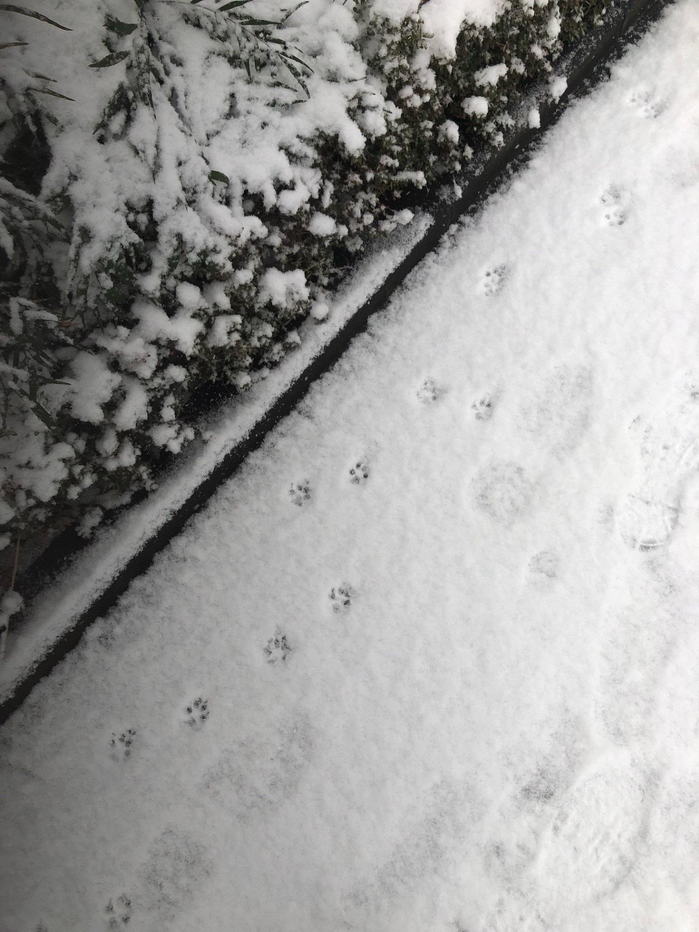 3tamagawajyousui0209