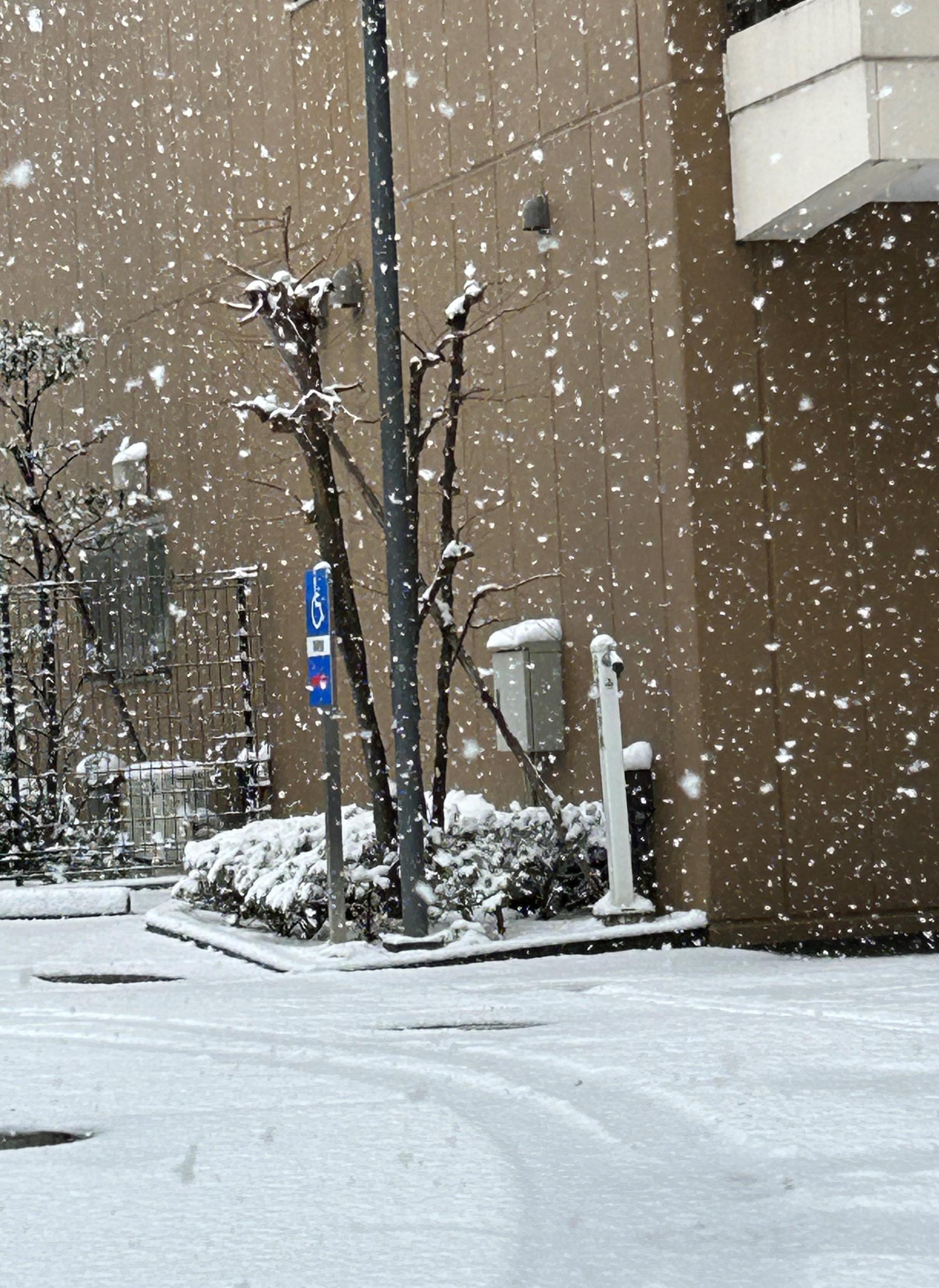 2tamagawajyousui0209