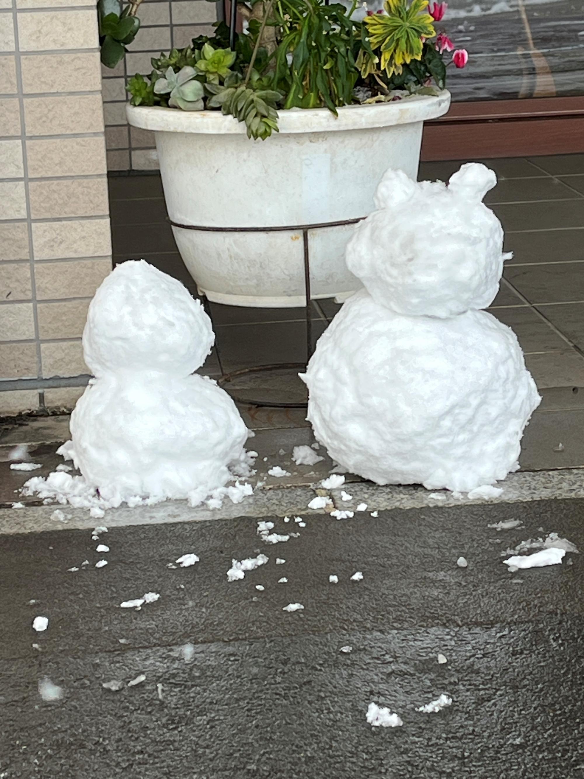 4tamagawajyousui0209