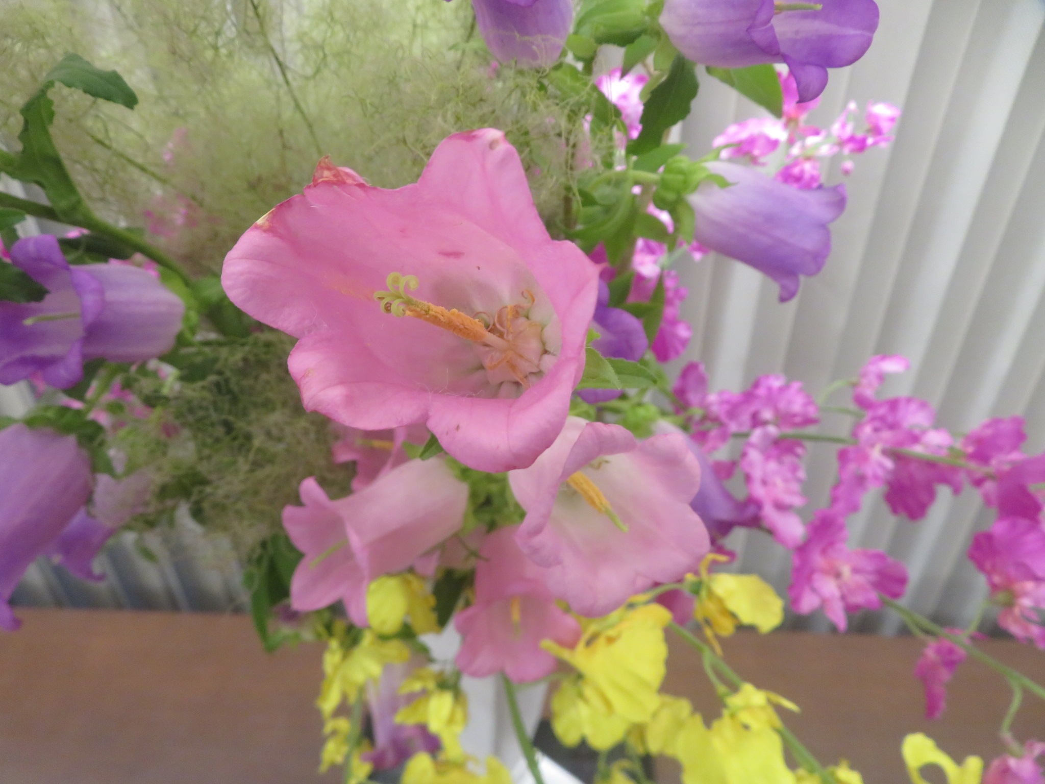 6月華道➁.JPG