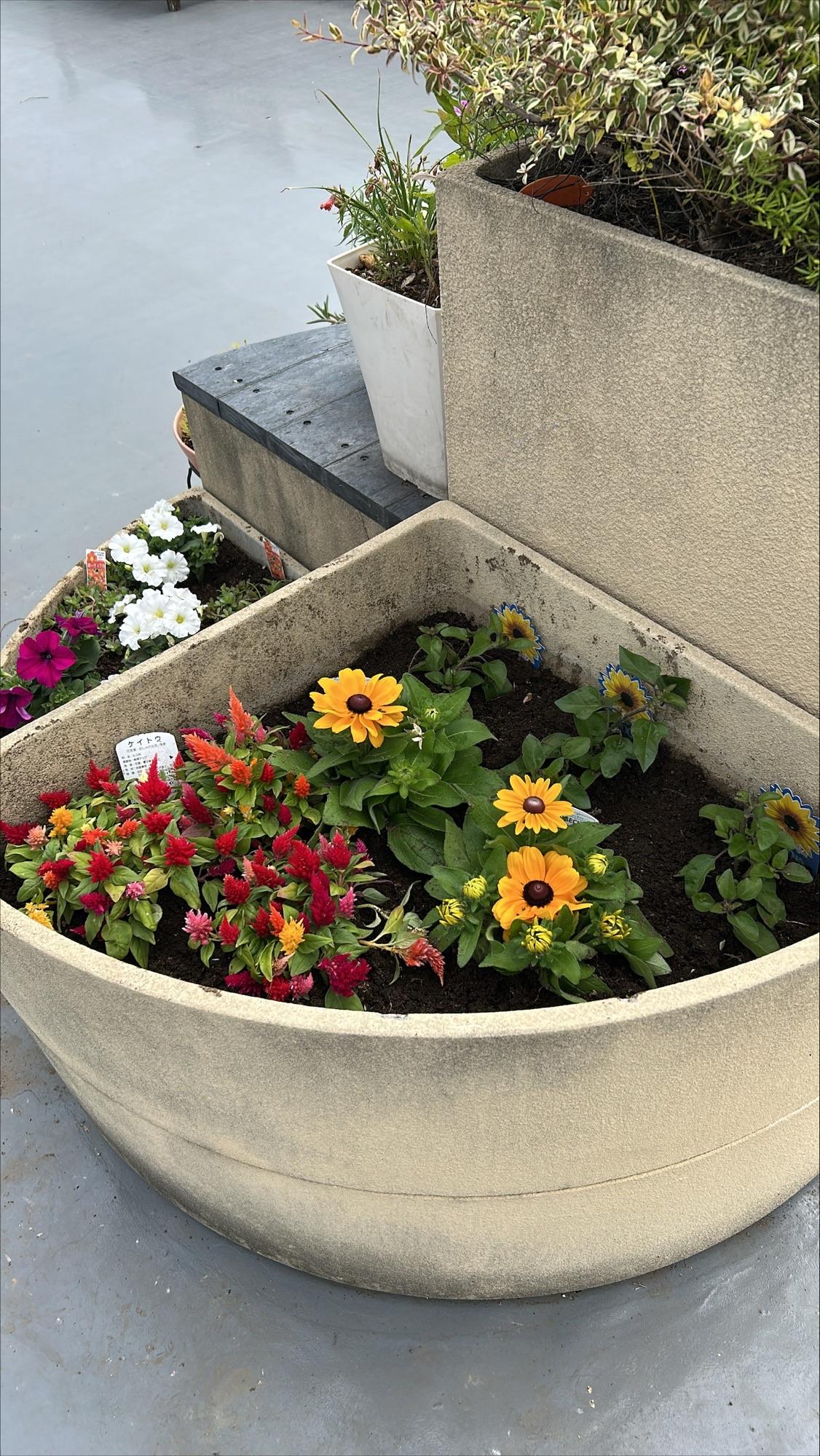 garden_tokiwadai02