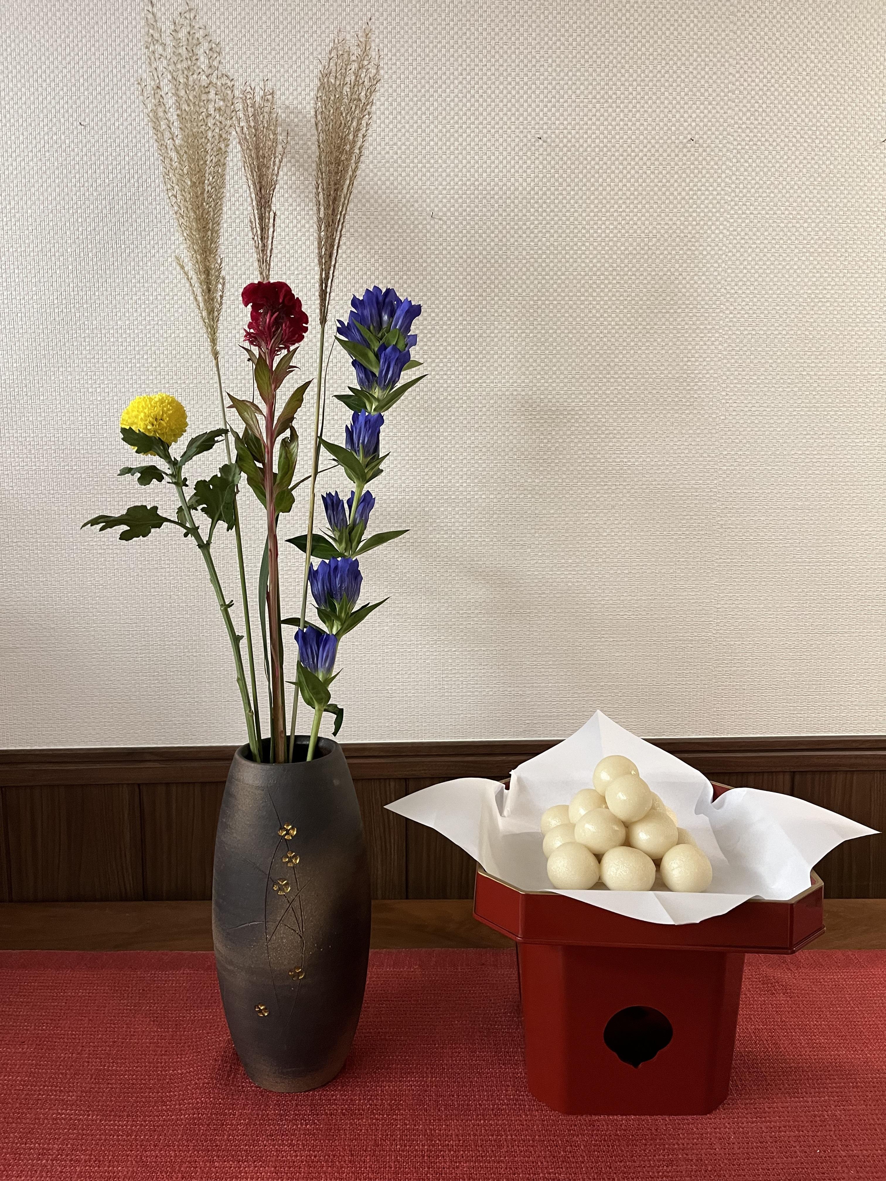 tsukimi_tokiwadai