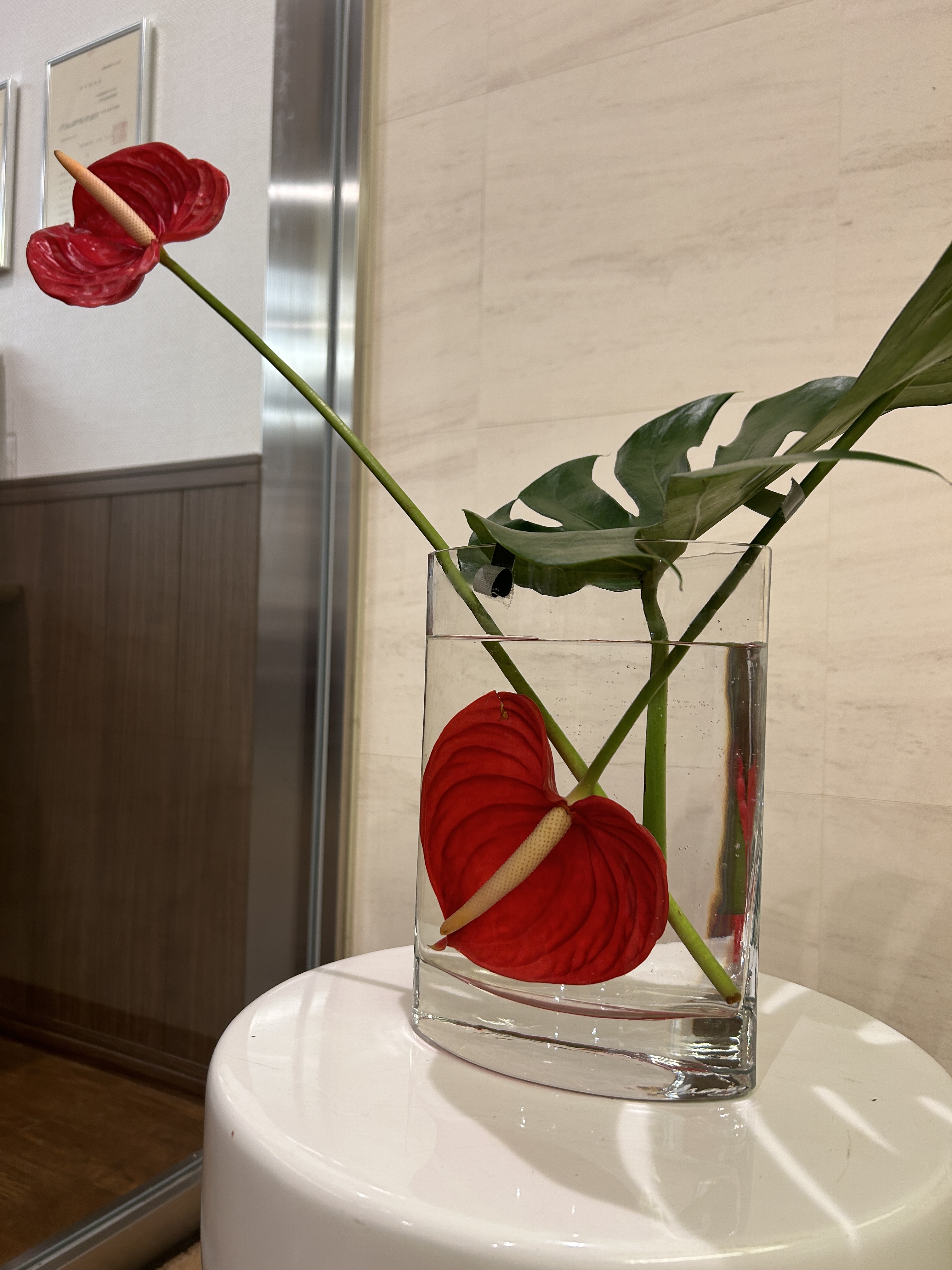 月花5.JPG