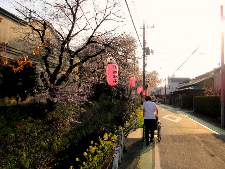 お花見