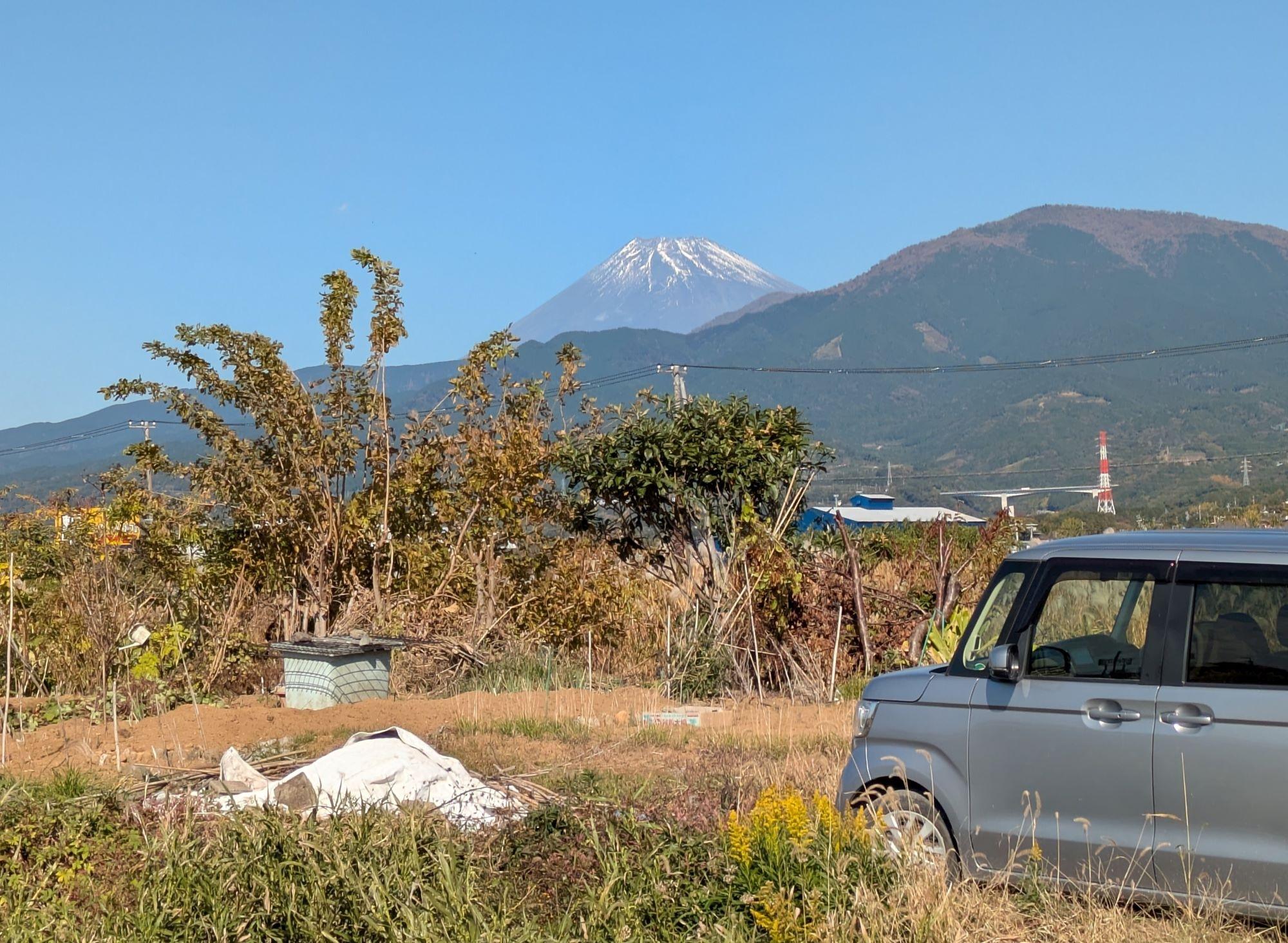 PXL_20251122_013205511