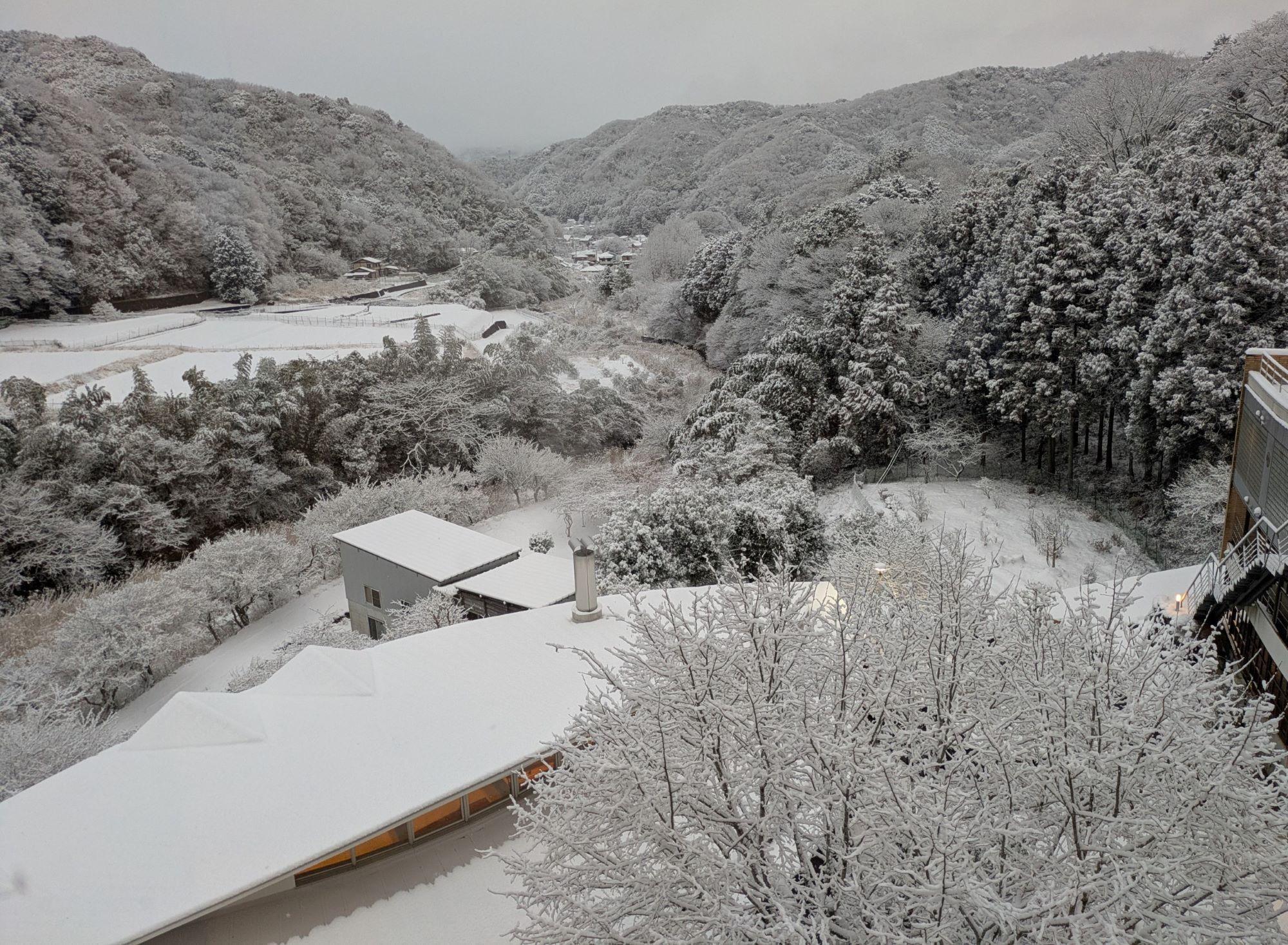 PXL_20260208_081303177