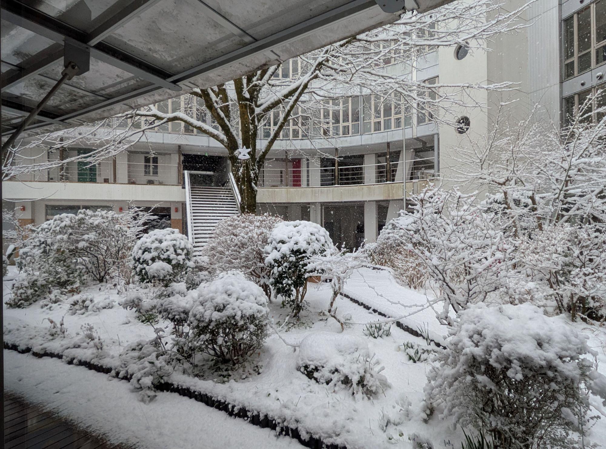 PXL_20260208_064224736