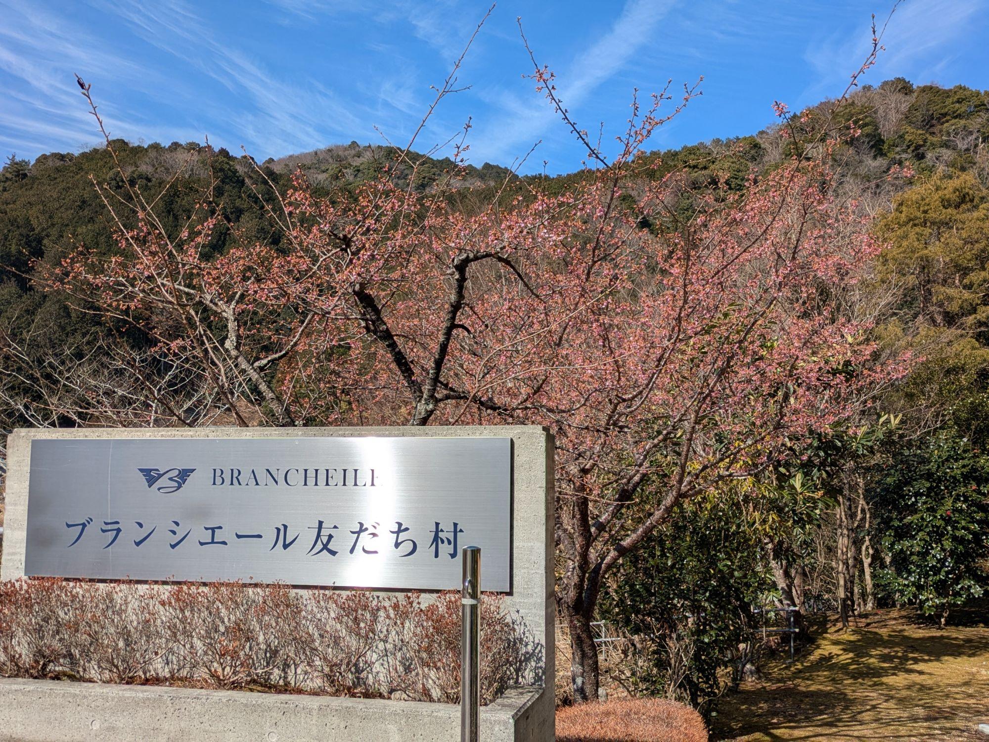 PXL_20260214_013905755