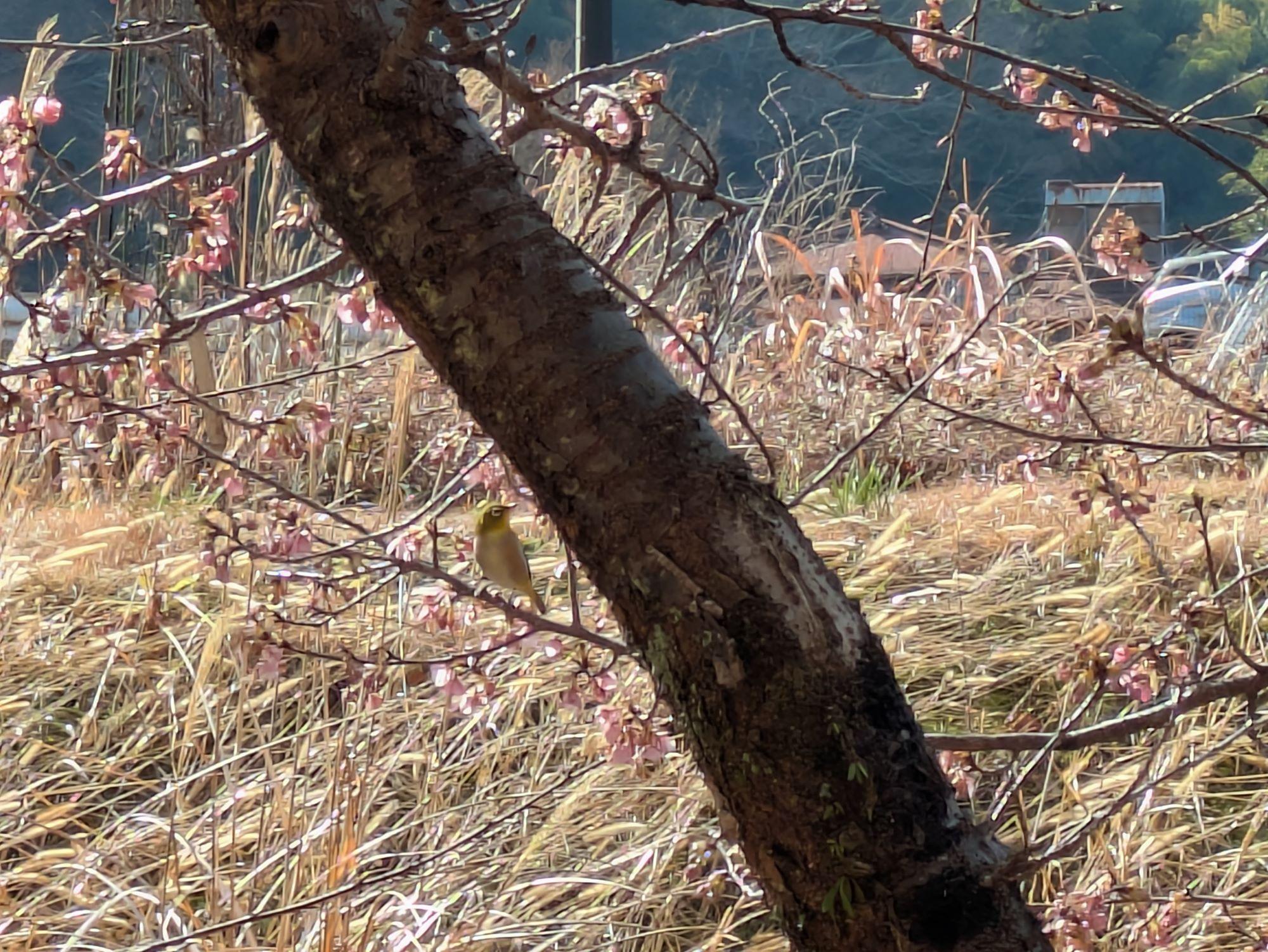 PXL_20260214_012417632