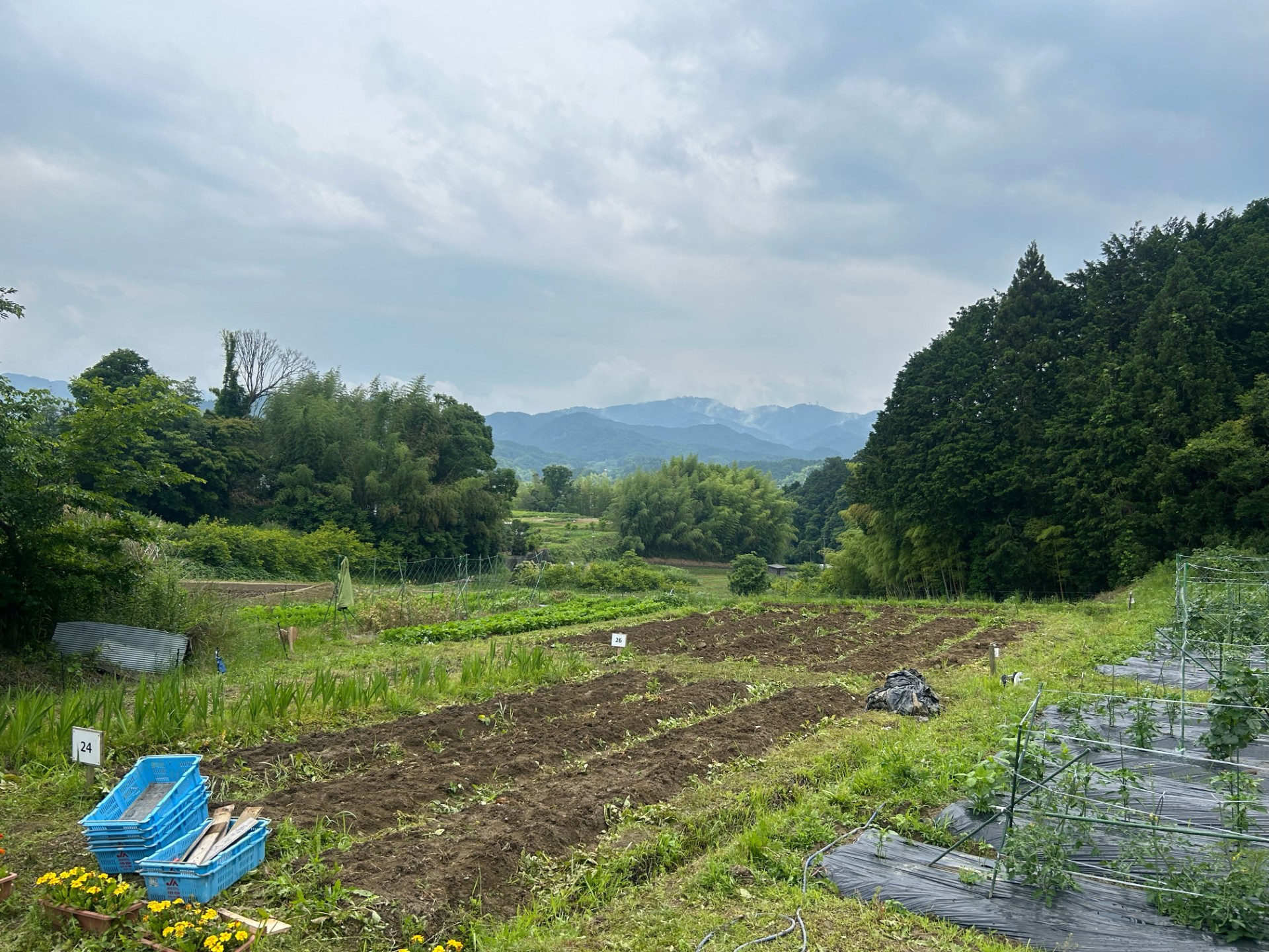 thumbnail_image3 (2)