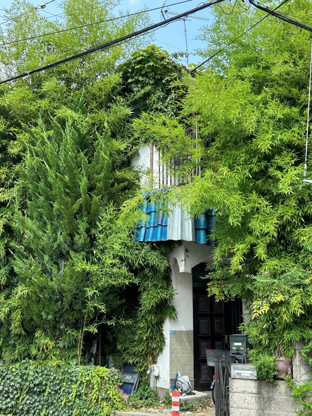 1笹屋敷.JPG