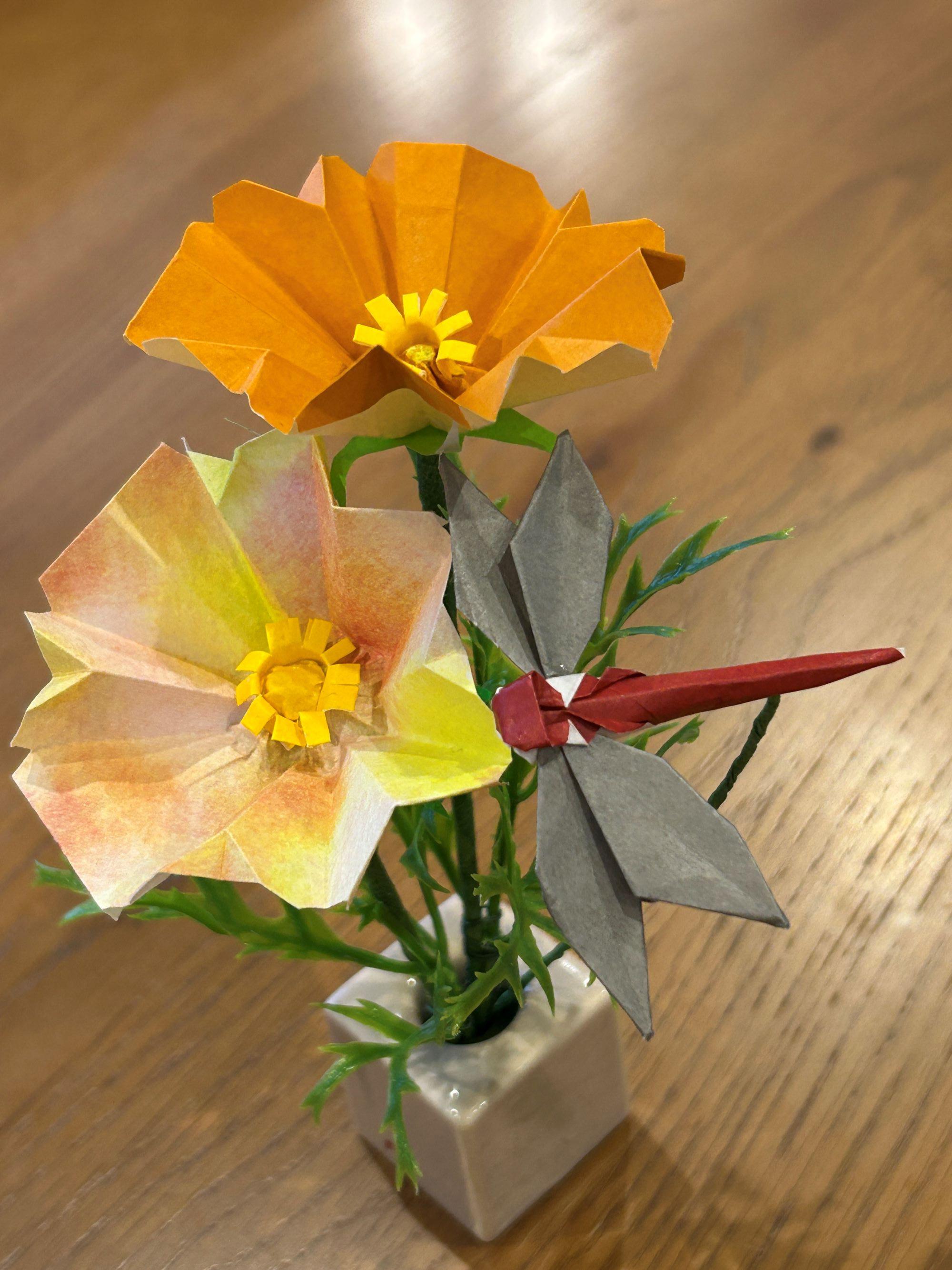 9月の花