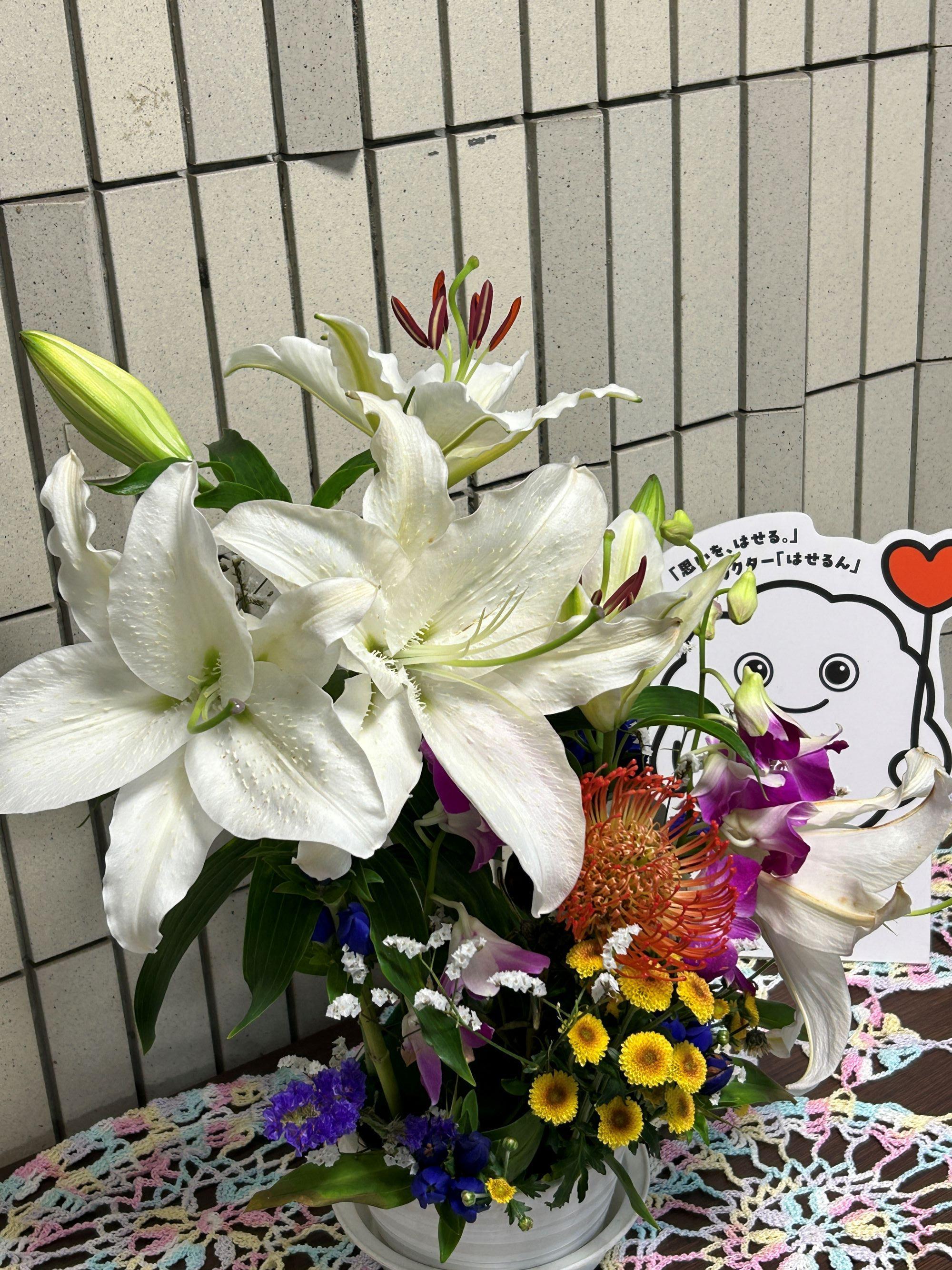 ユリとはせるん