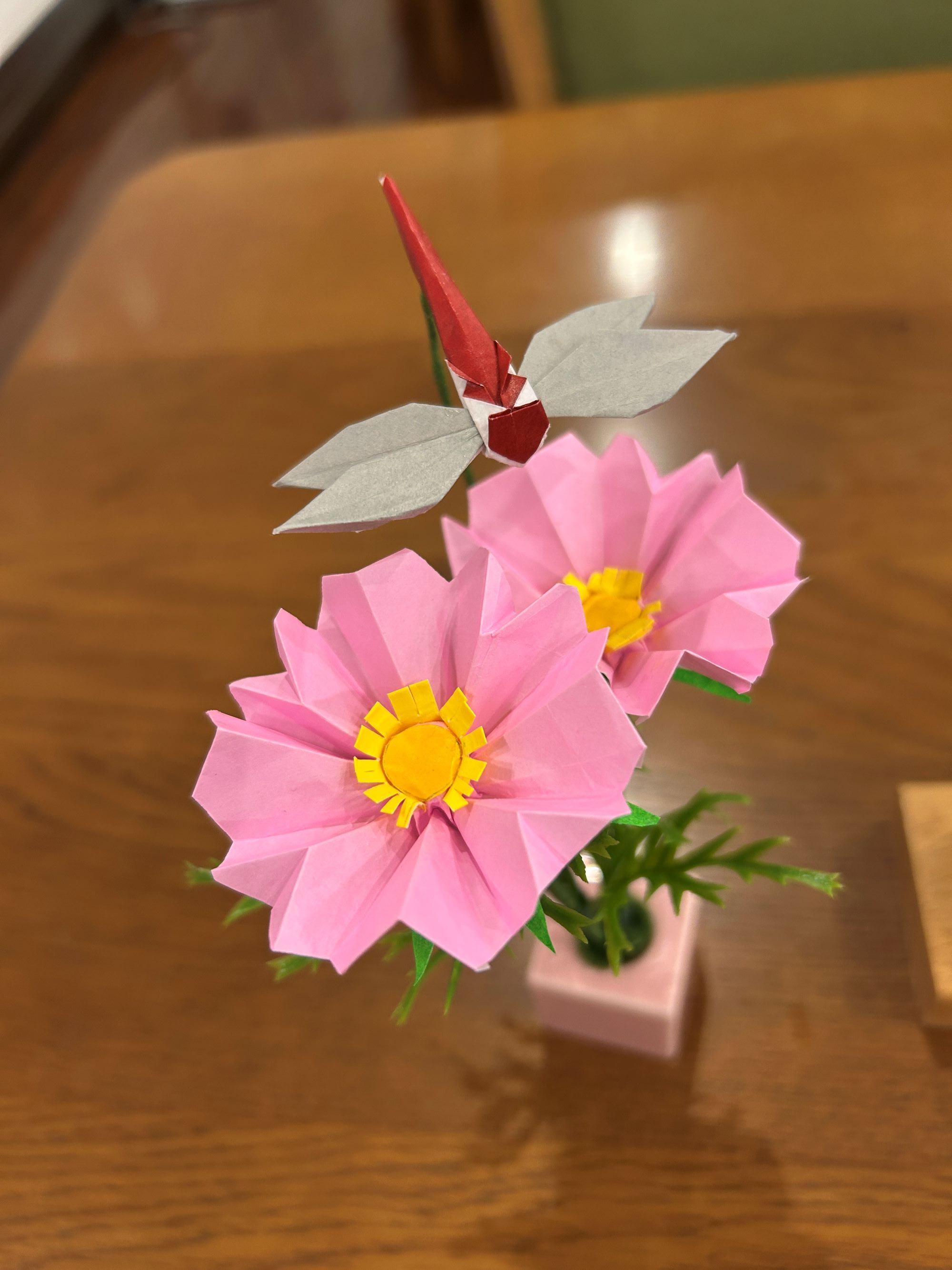 赤トンボ①