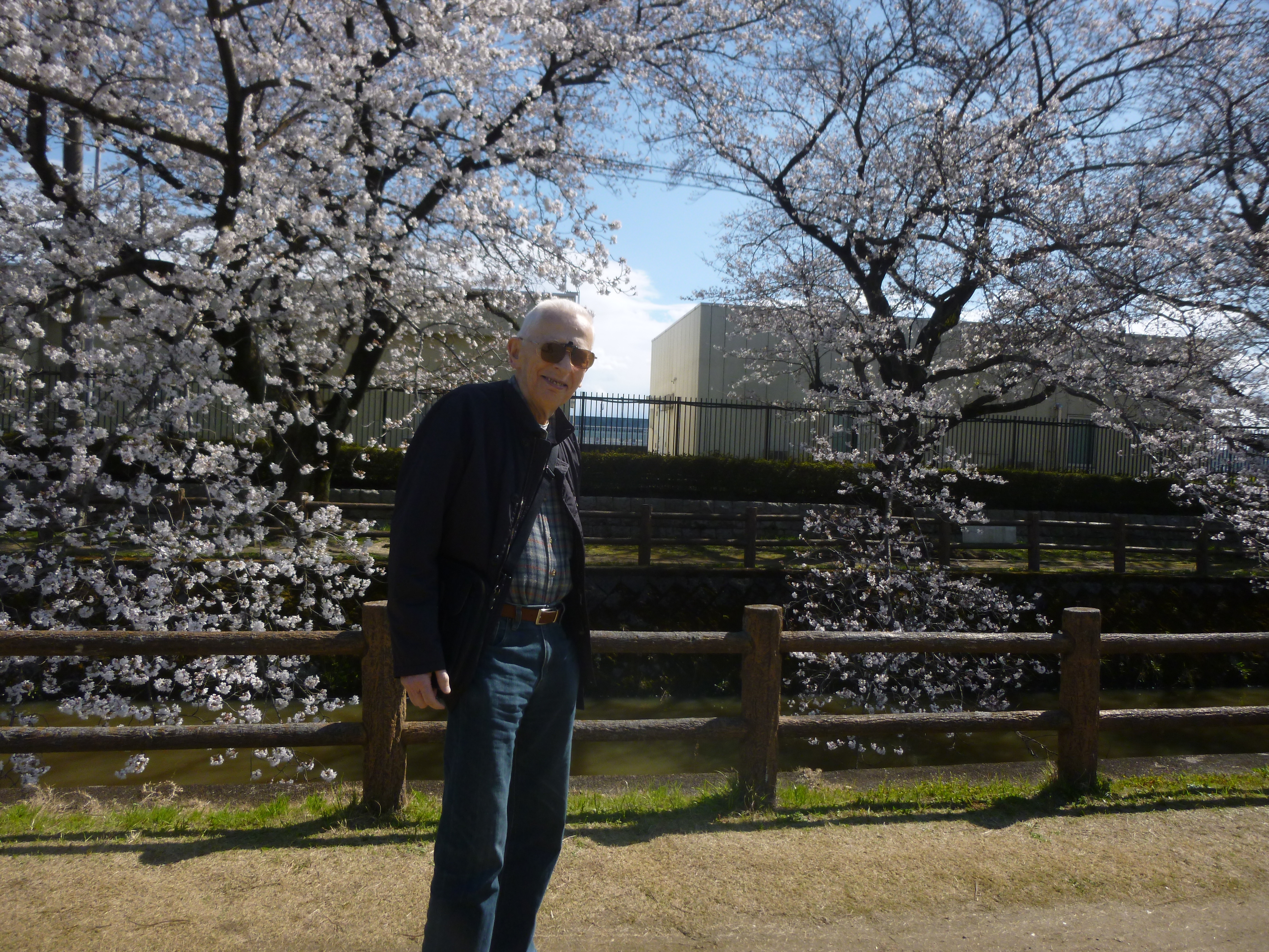 桜.JPG