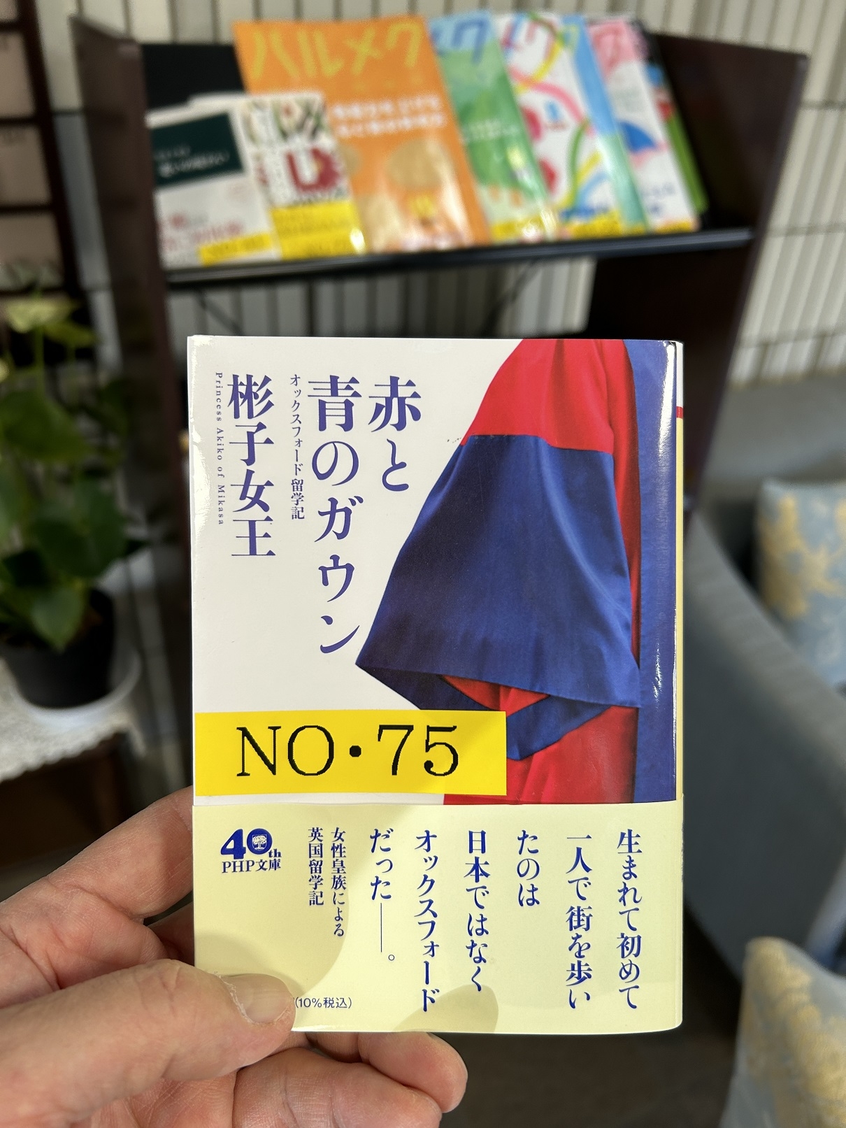 赤と青の.JPG