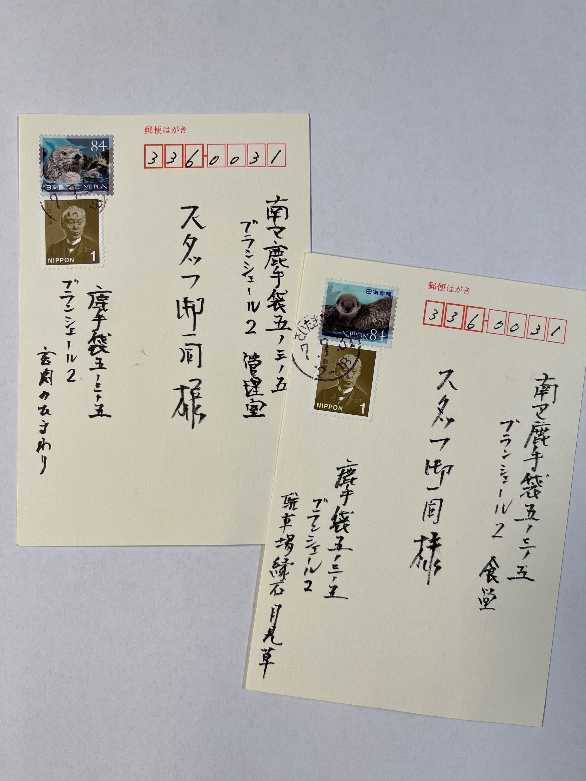 月見草とひまわり